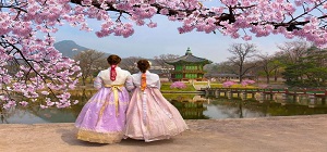 Mùa thu Hàn Quốc tuyệt đẹp từ hình ảnh chụp bằng điện thoại  Du lịch