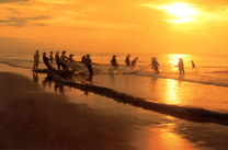 Vé máy bay tháng 7