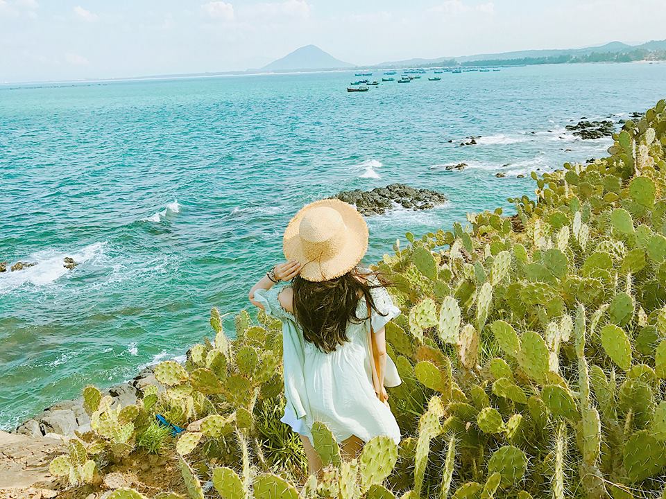du-lich-quy-nhon-phu-yen-8