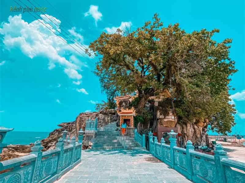 dinh-cau-phu-quoc
