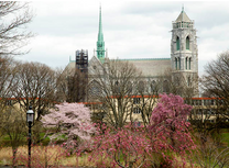 Những điều bạn nên biết trước khi đặt vé máy bay đi Newark, Mỹ.