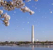 Đặt mua vé máy bay đi Washington, Mỹ giá rẻ