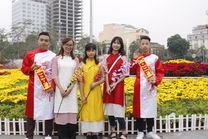 Vé máy bay Tết đi Hải Phòng 