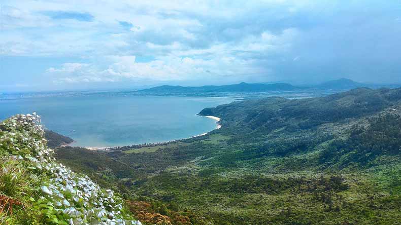 ve-may-bay-pacific-airlines-tu-quy-nhon-di-da-nang