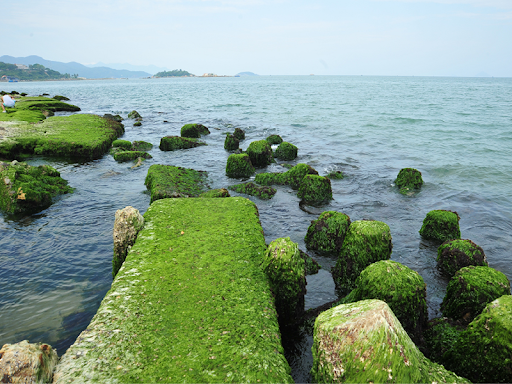 ve-may-bay-vietnam-airlines-tu-can-tho-di-nha-trang
