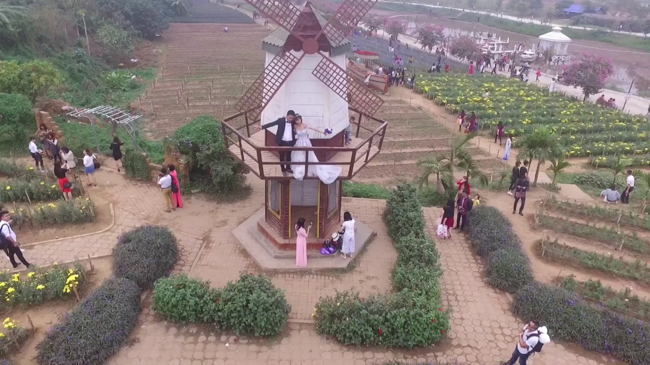 ve-may-bay-tu-dong-hoi-di-ha-noi