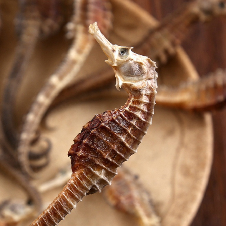 cá ngựa khô Nha Trang