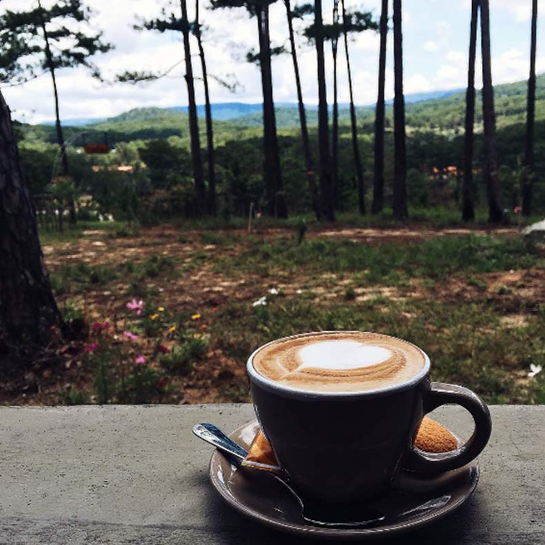 Ngắm cảnh, thưởng thức cafe vườn thú ZooDoo