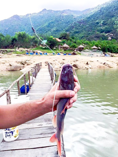 các hoạt động tại hồ Kênh Hạ