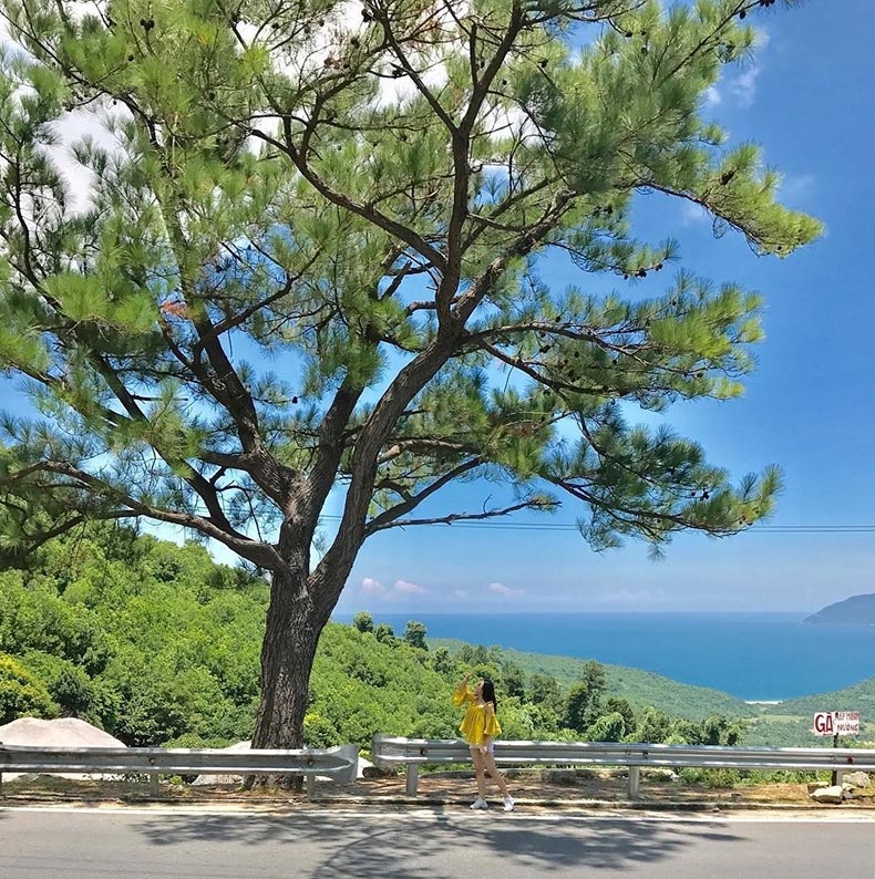 Đèo Hải Vân - cây cô đơn