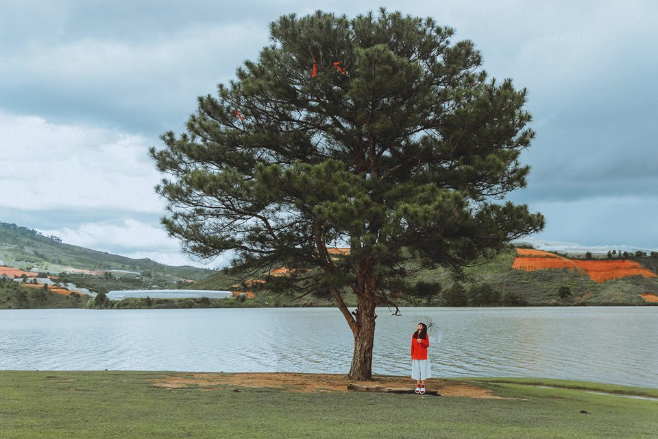 ve-may-bay-tu-vinh-di-da-lat