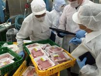 Chế biến thực phẩm Nhật Bản