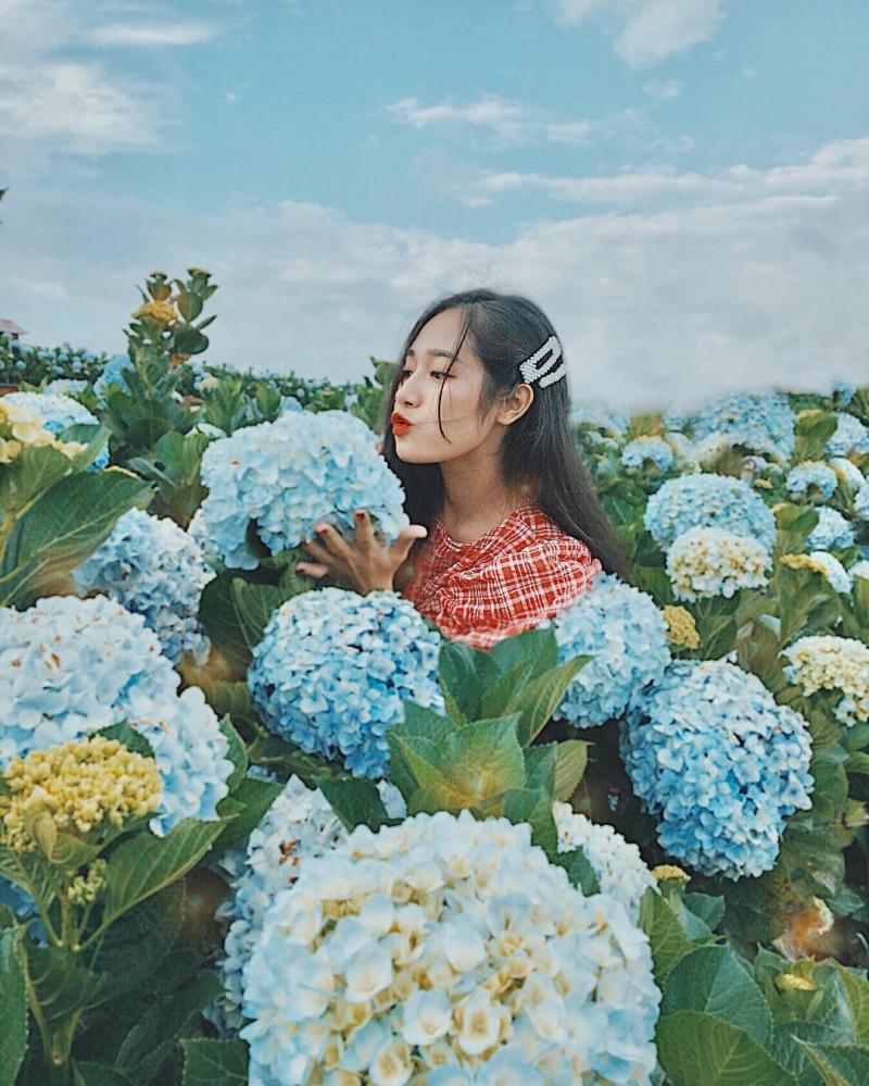 Hồ Xuân Hương Dalat vườn hoa thành phố