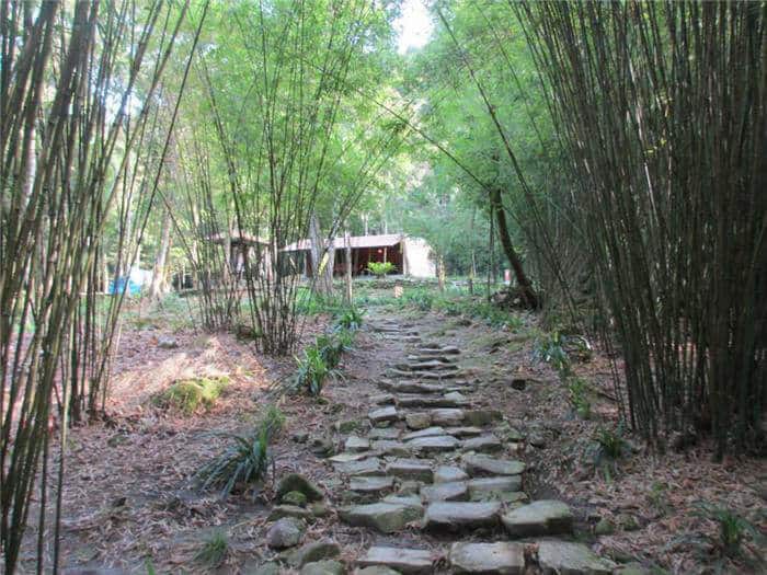 chua-dia-nguc-tam-dao