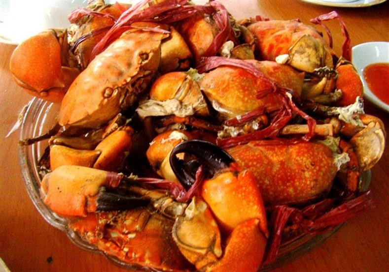 kinh-nghiem-di-tra-co-mong-cai