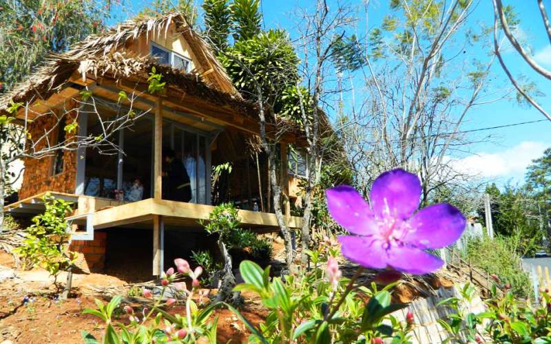 ve-may-bay-ha-noi-di-da-lat