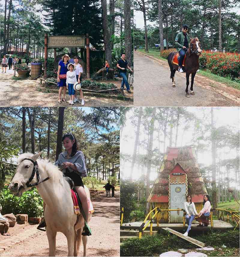 Cưỡi ngựa Hồ Than Thở