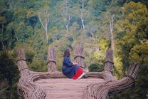 Vé máy bay đi Đà Lạt