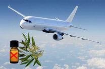Dầu tràm có được mang lên máy bay không?