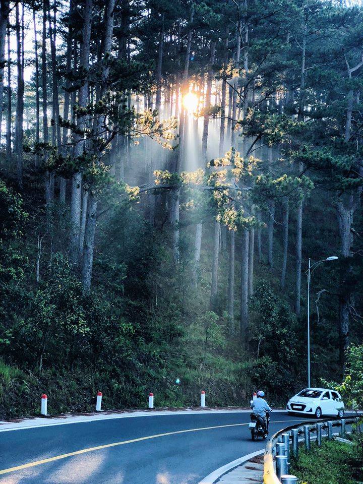 Đèo Prenn Đà Lạt có gì