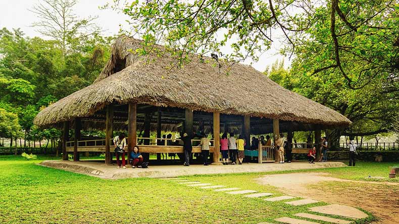 Cây đa Tân Trào Đình Hồng Thái