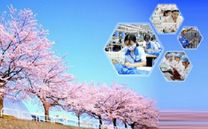 đơn hàng đi nhật