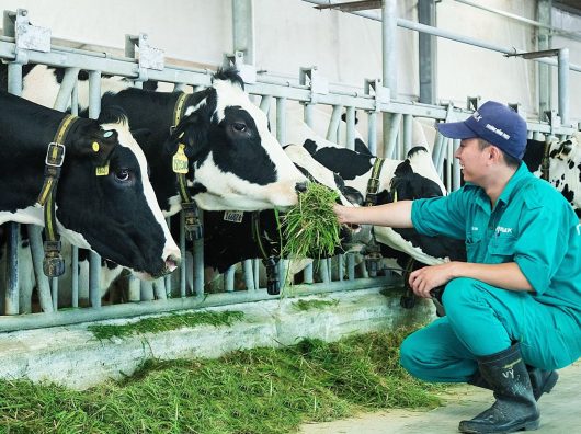 chăn nuôi nông nghiệp Nhật Bản