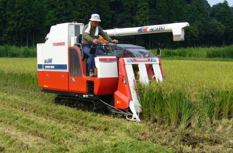 đơn hàng nông nghiệp Nhật Bản có vất vả không