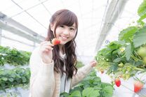 Du học Nhật Bản ngành nông nghiệp