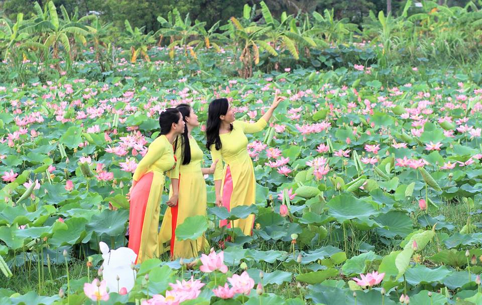 du-lich-dong-thap-muoi