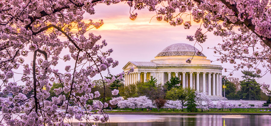 nhung-cau-hoi-phong-van-xin-visa-du-lich-my