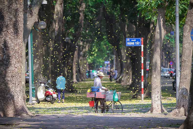 ve-may-bay-phu-quoc-di-ha-noi