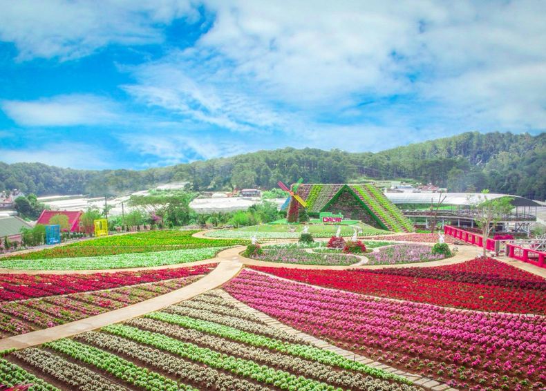 fresh-garden-da-lat