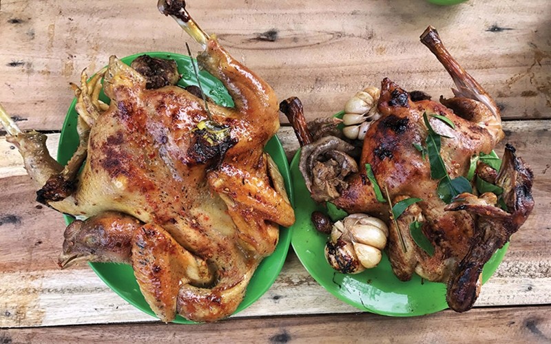 gà đốt lá chúc