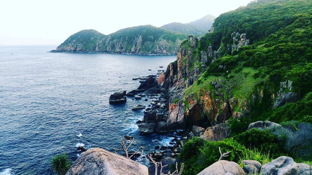 Giới thiệu Mũi Điện