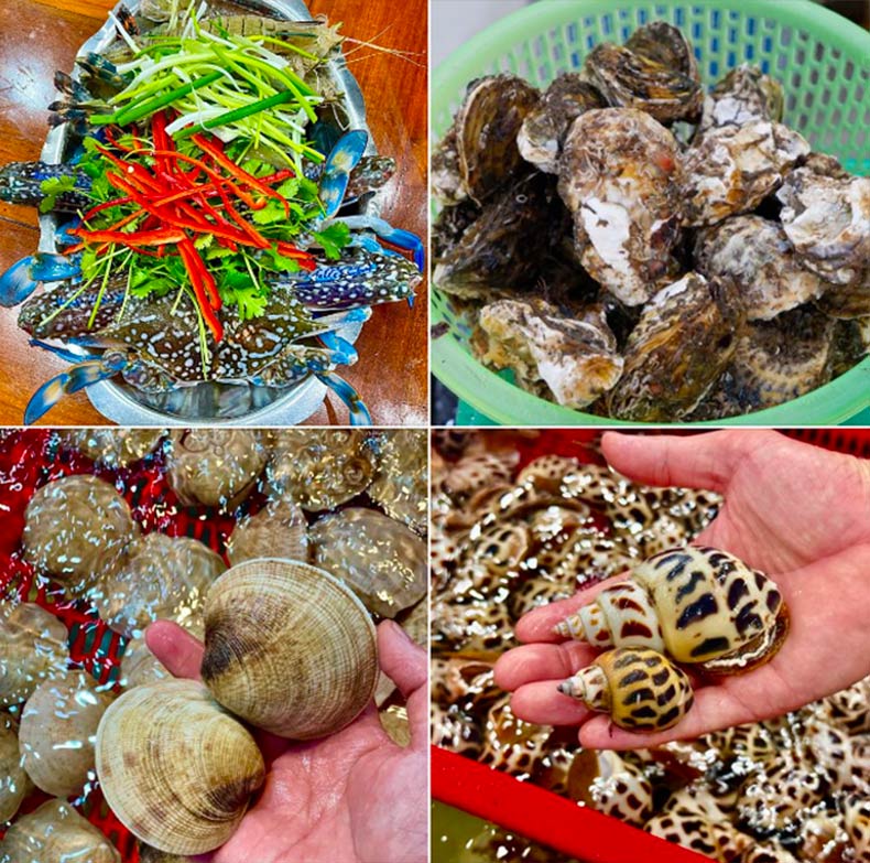 Hải sản bé Mặn đa dạng sự lựa chọn