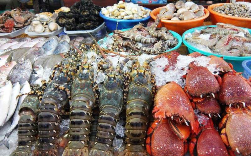ăn uống tại Hòn Cau Côn Đảo