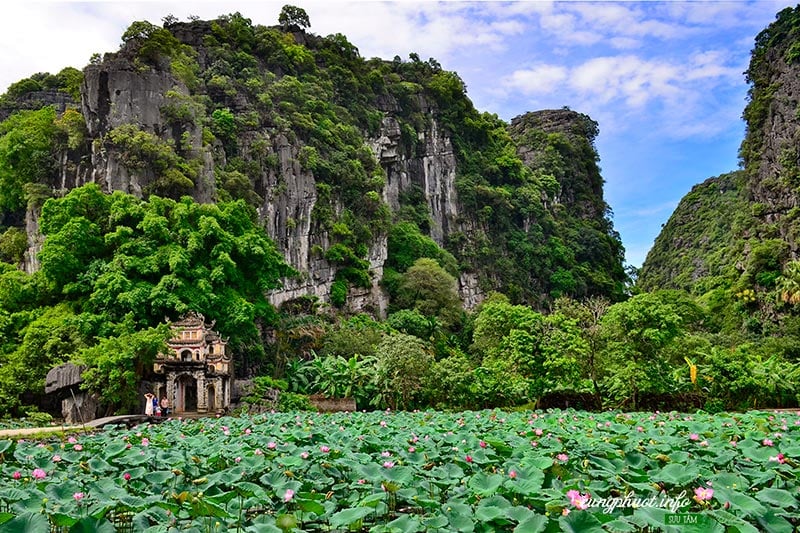 đi Hoa Lư Ninh Bình mua gì về làm quà