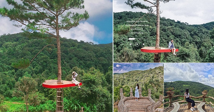 Hoa Sơn Điền Trang - ve-may-bay-pacific-airlines-di-da-lat