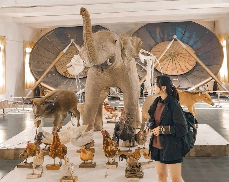 Khám phá phân viện Sinh học Đà Lạt