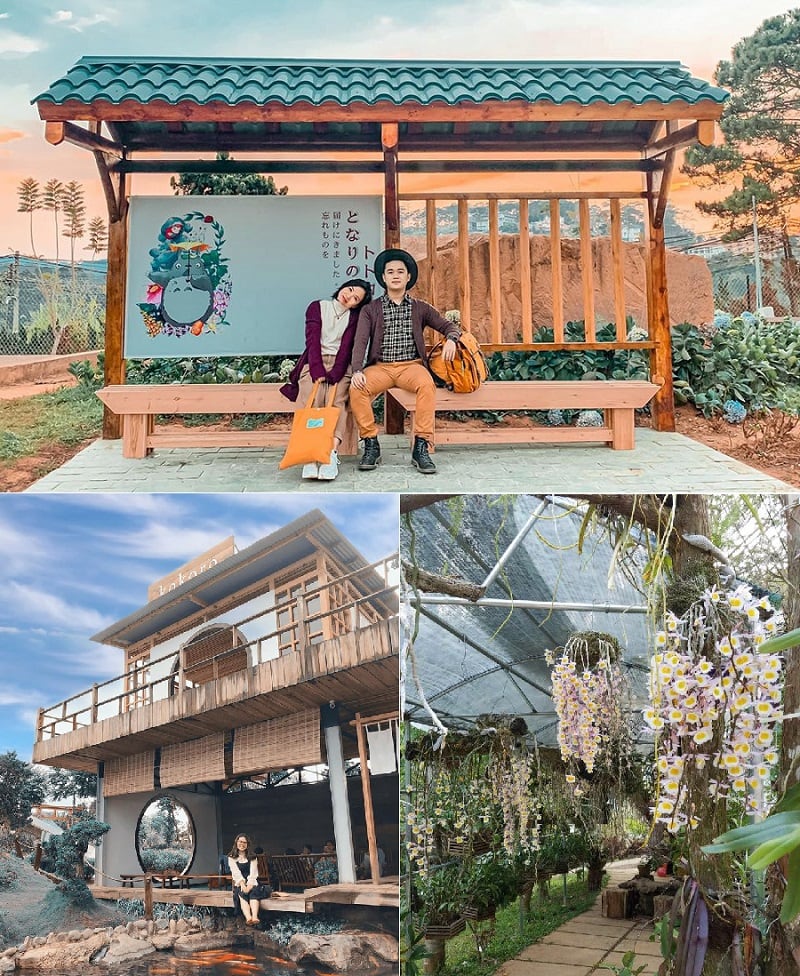 Khu du lịch lá phong - ve-may-bay-pacific-airlines-di-da-lat