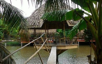 Khu du lịch sinh thái Lung Tràm Cần Thơ Nơi tận hưởng thiên nhiên trong lành và trải nghiệm văn hóa đặc sắc