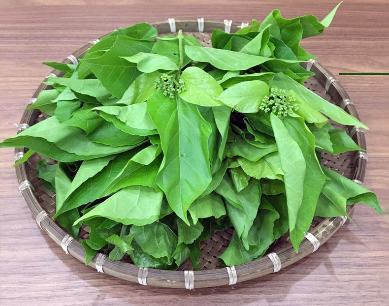 Lá cách ăn bánh xèo miền Tây