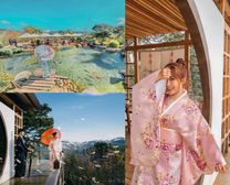 Lá Phong Đà Lạt