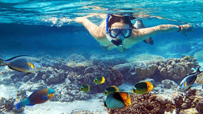 chơi gì khi đến Mgallery Cát Bà