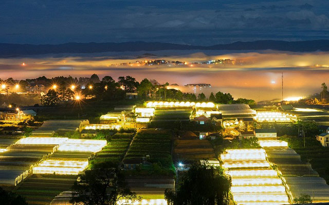 Cảnh đẹp Đà Lạt về đêm Làng hoa Vạn Thành