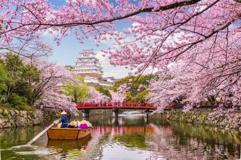 Mùa xuân là lúc mọi người đón chờ Lễ hội hoa anh đào Nhật Bản. Với hàng trăm loại hoa anh đào khác nhau, người dân Nhật Bản tổ chức một lễ hội tôn vinh vẻ đẹp của loài hoa này. Hãy xem hình ảnh và bạn sẽ bị mê hoặc bởi sự phong phú và đa dạng của các loài hoa anh đào.