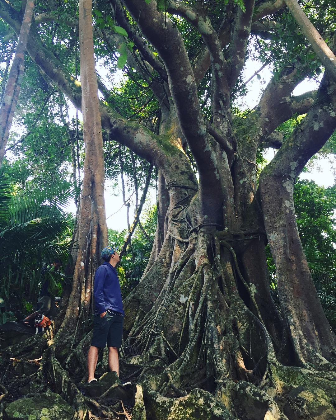 nhat-lam-thuy-trang-tra