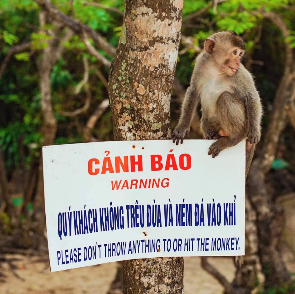 lưu ý khi du lịch đảo Khỉ Cát Bà