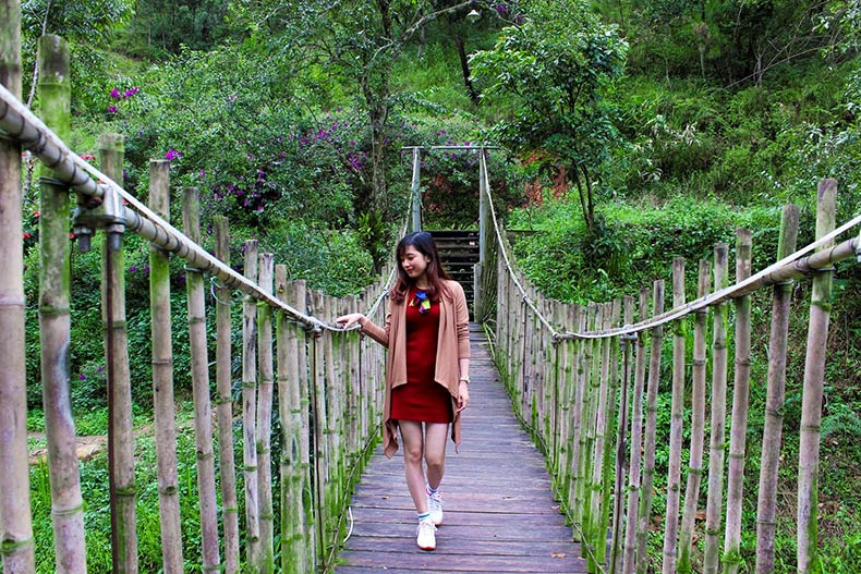 Ma Rừng Lữ Quán Lạc Dương Lâm Đồng